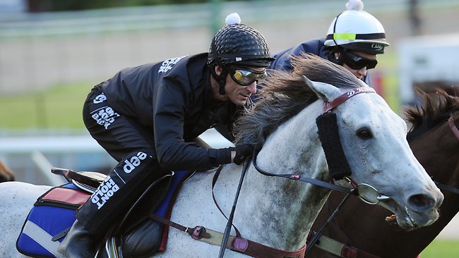 Glen Boss To Ride Jet Away After Puissance De Lune Becomes Melbourne 