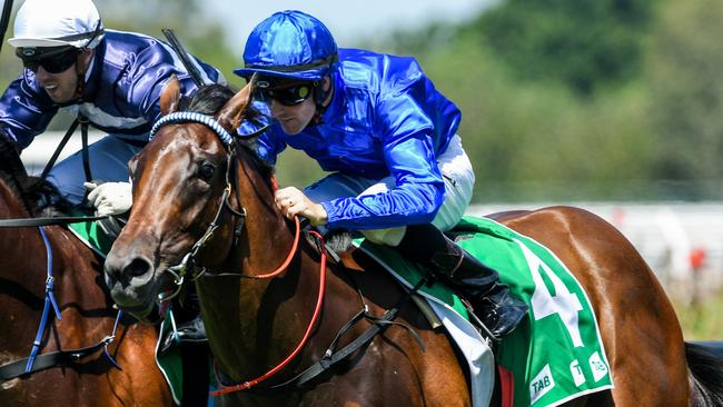 Cristobal is Davo’s best bet of the day at Royal Randwick. Picture: AAP