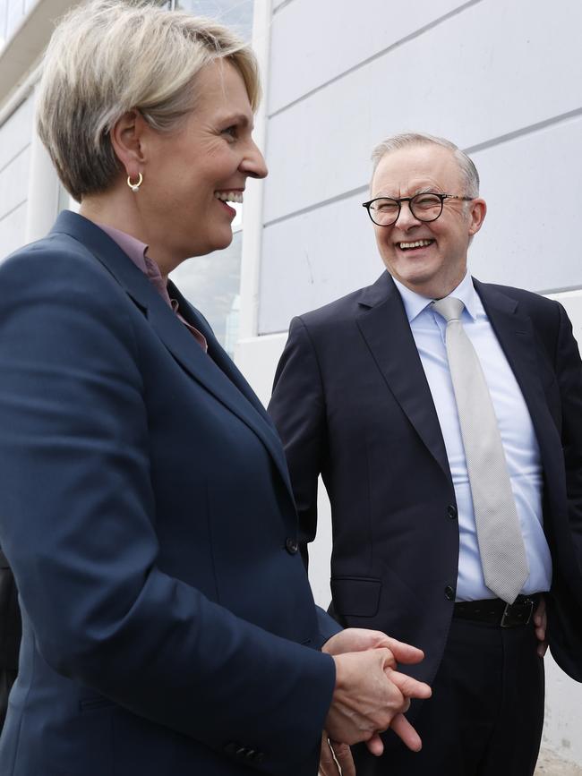 Tanya Plibersek and Anthony Albanese. Picture: Nikki Davis-Jones