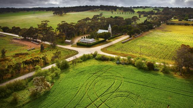 The conditions shaping the 2015 vintage were “a picture-book season, the Goldilocks vintage where everything was just right”.