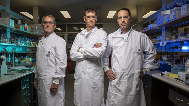 Professor Paul Young, Dr Keith Chappell and Professor Trent Munro are on the hunt for a coronavirus cure. Photo: Glenn Hunt