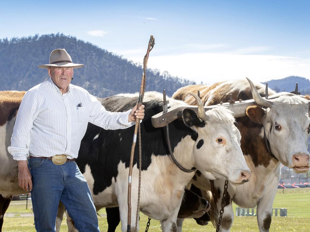 Brian Fish of Oatlands with his bullocks at the Hobart Show. PICTURE CHRIS KIDD