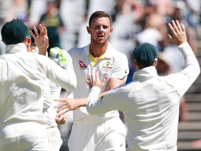 Josh Hazlewood celebrates the dismissal of South African batsman Hashim Amla.