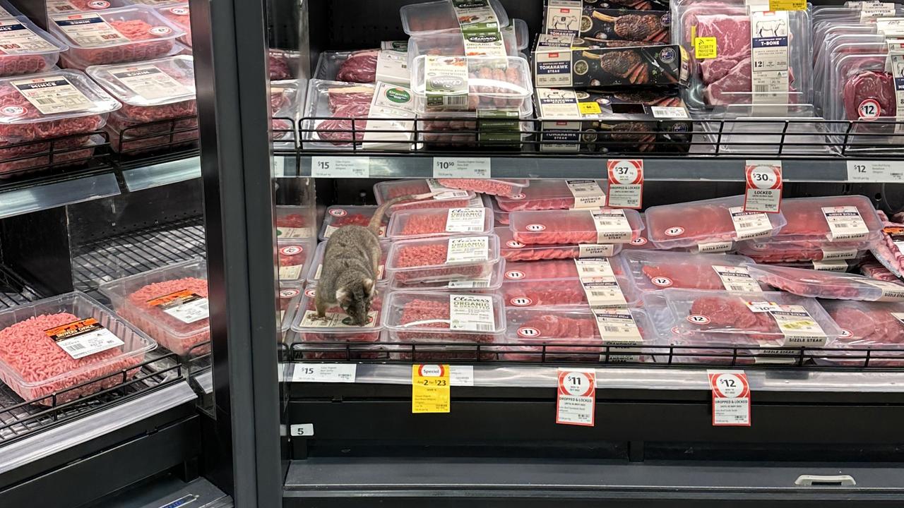 A possum was spotted crawling across packaged meat products at Coles Mitcham on Monday, April 10, 2023. Picture: Supplied.