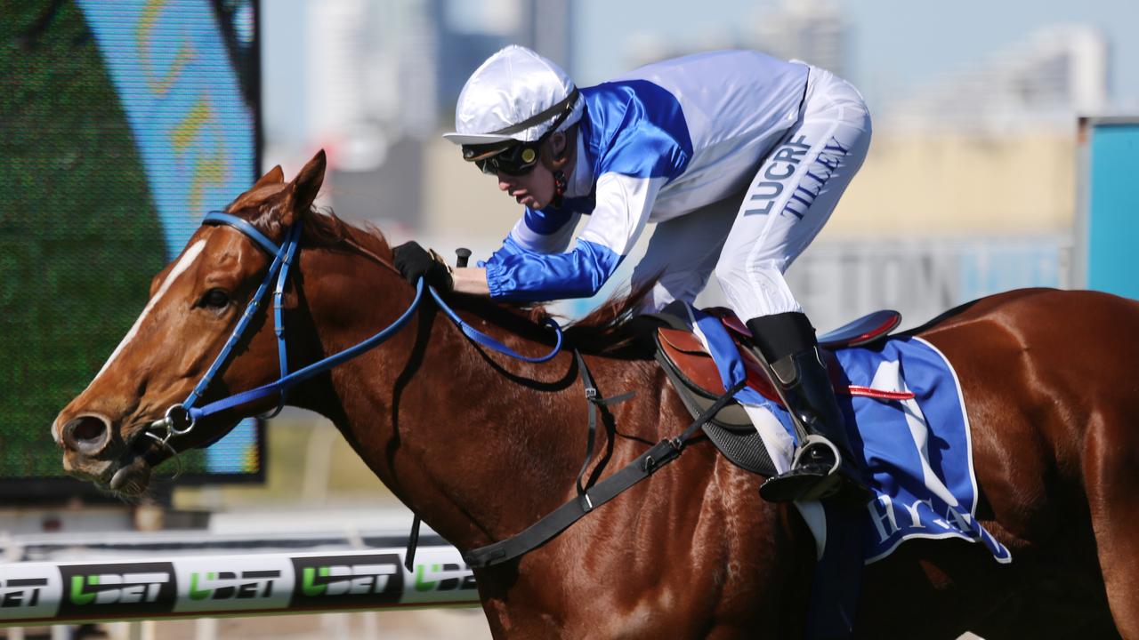 Spurcraft led a winning feature day for Toowoomba gallopers with his success in yesterday’s Bribie Handicap at Doomben. Picture Glenn Hampson