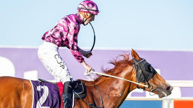 Ripcord launches to win the Placid Ark Stakes for trainer Luke Fernie and jockey Clint Johnston-Porter. Picture:  Western Racepix.