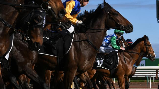 The Melbourne Cup will go ahead next month with 10,000 spectators. Picture: Vince Caligiuri/Getty Images