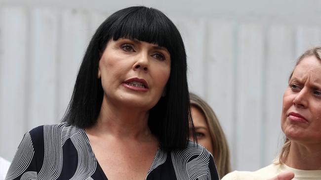 Yolonde Entsch LNP Candidate for the state electorate of Cairns, during a media conference at The Chambers, Cairns. Picture: Liam Kidston.