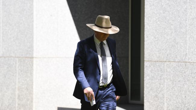 Deputy Prime Minister Barnaby Joyce at Parliament House last week. Picture: AAP