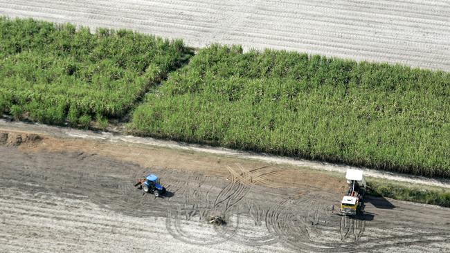 Sugar cane harvesting at Norwell in 2007.