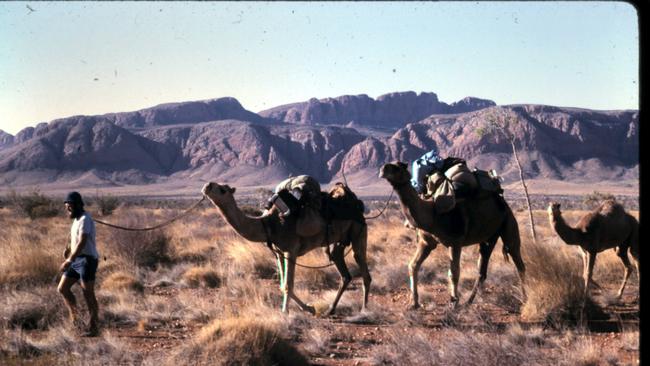 Richard "Dick" Kimber on a camel trek between Mt Liebig and Papunya.