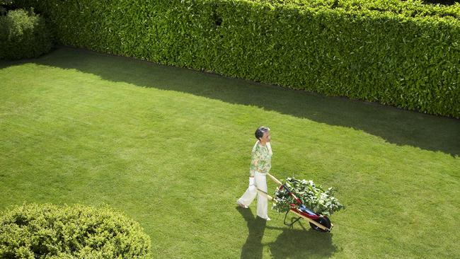 Green, green lawns at home. A pure luxury and one we want. Image: iStock.