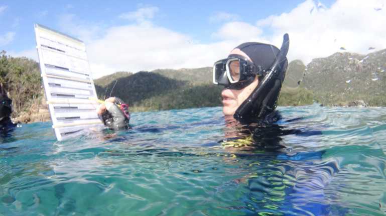 HEALTH CHECK: Elmer Ten-Haken-conducting Reef Health Impact surveys in the Whitsundays post TC Debbie. Picture: GBRMPA