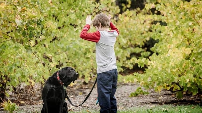 Munno Para West boy Phoenix Ringrose with his autism assistance dog Jimmy. Picture: Supplied