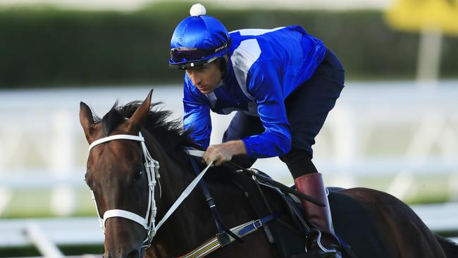 Winx returns in the Group 2 Apollo Stakes at Royal Randwick. (Photo by Mark Evans/Getty Images)