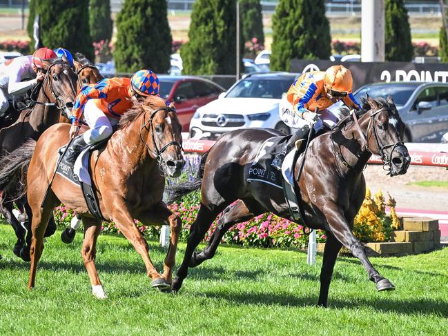 Imperatriz ridden by Opie Bosson wins the 3 Point Motors William Reid Stakes at Moonee Valley Racecourse on March 23, 2024 in Moonee Ponds, Australia. (Photo by Reg Ryan/Racing Photos via Getty Images)