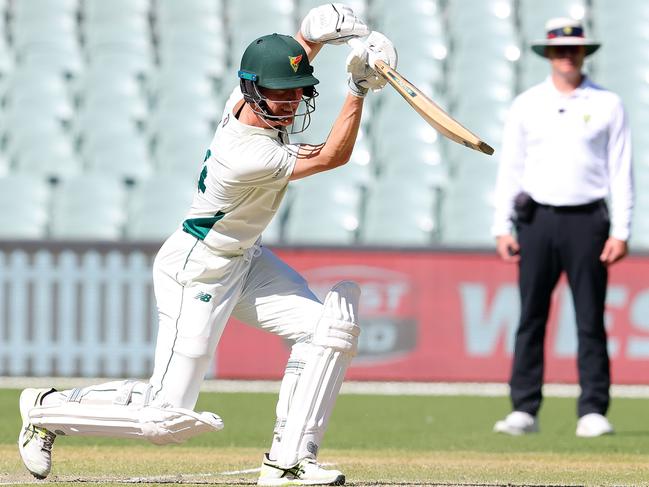 Jordan Silk made his debut for tasmania against Queensland in March 2013(Photo by Sarah Reed/Getty Images)