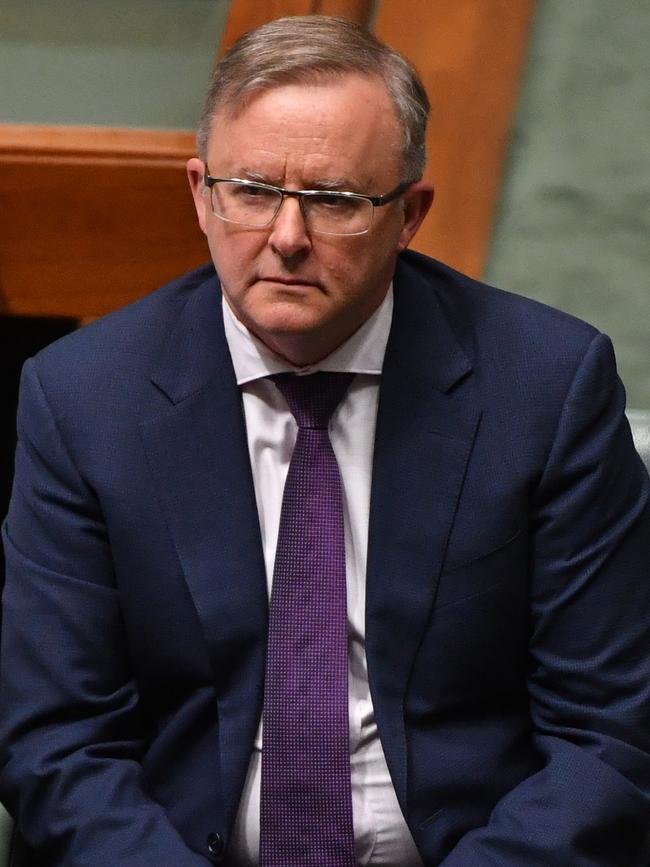 Federal Labor leader Anthony Albanese. Picture: AAP