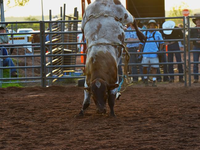 Photos from the 50th Noonamah Tavern Rodeo, September 31 , 2024. Picture: Darcy Jennings.