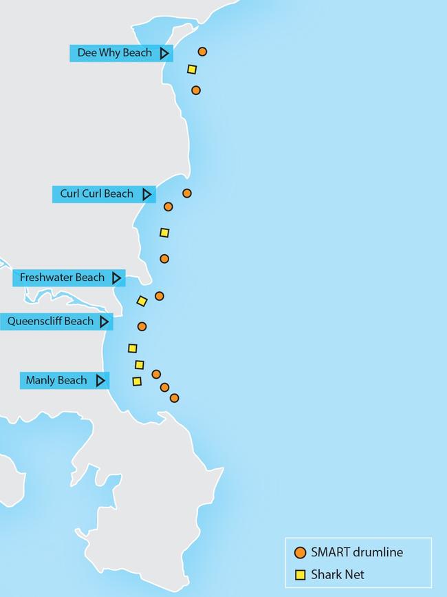 Map showing location of shark SMART drumlines deployed between Manly and Dee Why. Source: NSW Department of Primary Industries