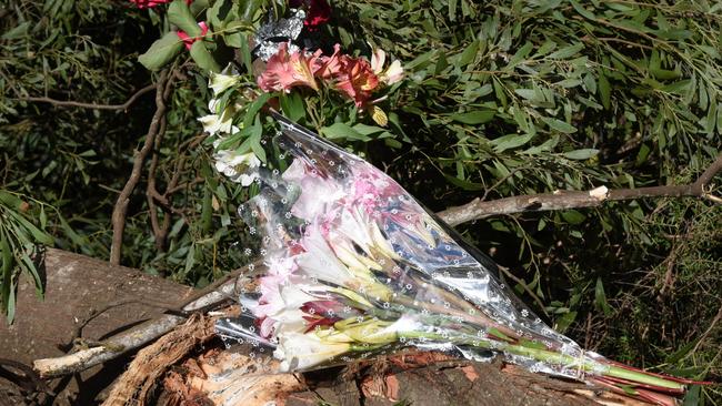 Floral tributes at the scene of the double fatal rollover at Somerset, March 11, 2022. Picture: Alex Treacy