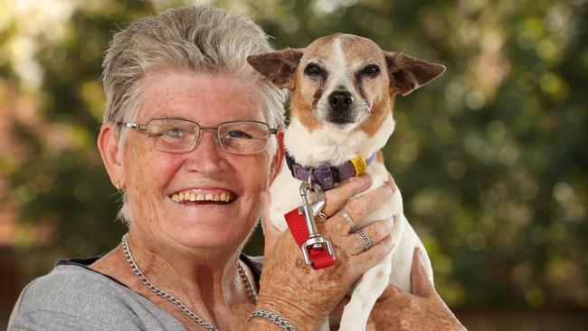 Patricia Pendergast with her newly donated foxy jack russell Missy. Riverview. Picture: Liam Kidston