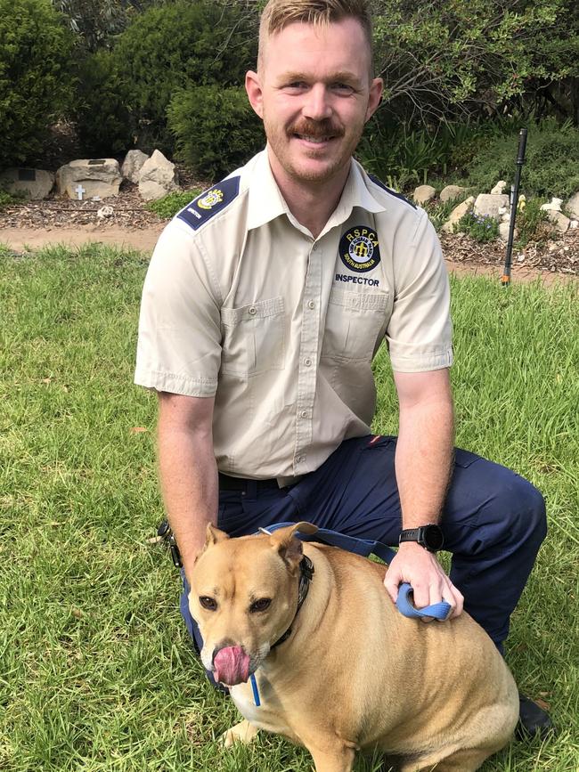 Personal trainer-turned RSPCA inspector Stuart Thomas is passionate about working to ensure animals are at a healthy range. Picture supplied.