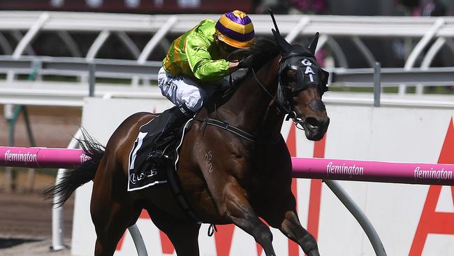 Gai Waterhouse has Cismontane in the Melbourne Cup. Picture: AAP