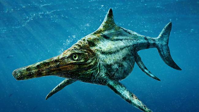 <s1>Scientists described the ichthyosaur as a reptile version of a dolphin. </s1>                        <source>Picture: TODD MARSHALL/PA</source>                                             <source/>