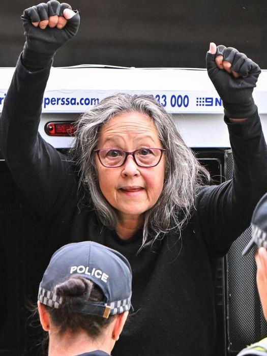 Extinction rebellion protester Meme Thorne is arrested after being brought down from the Morphett St bridge. Picture: NCA NewsWire / Brenton Edwards