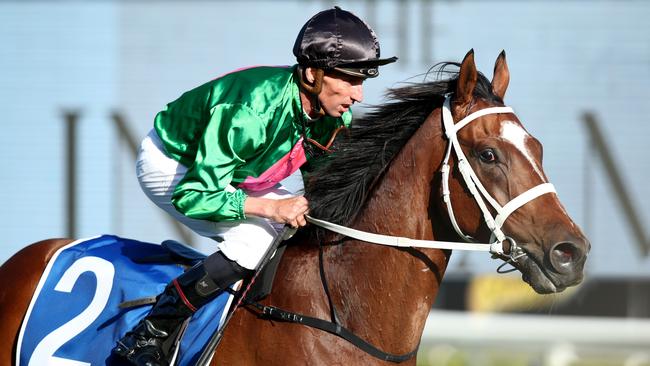 SYDNEY, AUSTRALIA - DECEMBER 10: Nash Rawiller riding Democracy Manifest returns to scale after winning Race 10 The PFD Handicap during Sydney Racing at Royal Randwick Racecourse on December 10, 2022 in Sydney, Australia. (Photo by Jason McCawley/Getty Images)