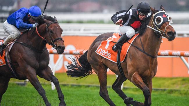 Jungle Edge, ridden by Jade Darose, wins the Neds Sir John Monash Stakes at Caulfield Racecourse on July 11. Picture: Natasha Morello/Racing Photos via Getty Images