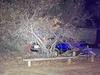 Drunk L-plater crashes BMW at Burton