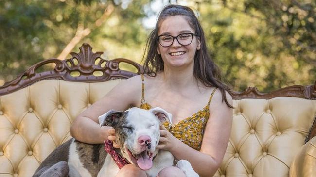 Ms Sinclair’s lifelong passion inspired her to open a new dog training business in Bundaberg.