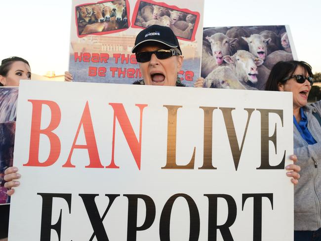 Protesters at the live export ship Bader III at Port Adelaide last month. Picture: AAP