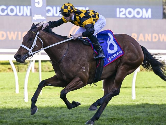 Joliestar wins at Royal Randwick on August 24, 2024. Picture: Bradley Photos