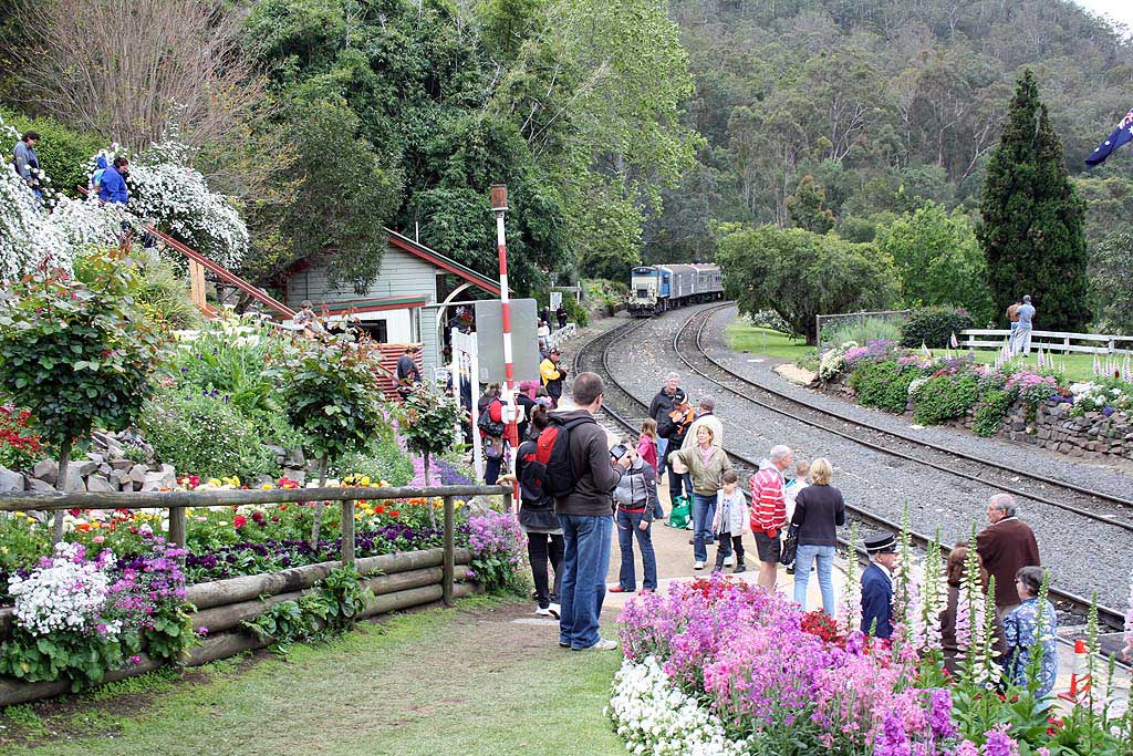 Spring Bluff comes alive for the Toowoomba Carnival of Flowers. Picture: Peter Hackney