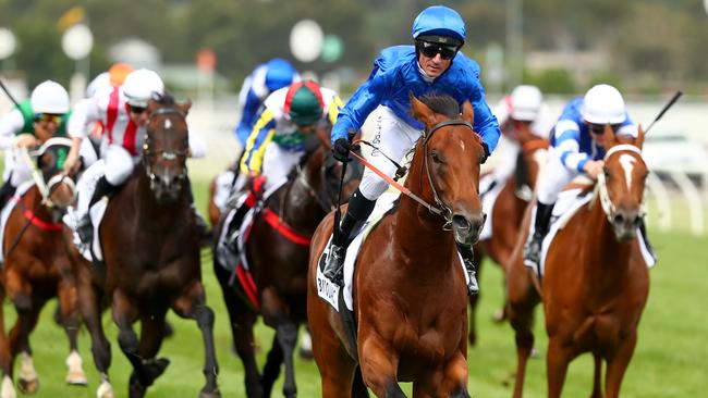 Bivouac is the horse to beat in the Darley Sprint Classic. Picture: Getty Images