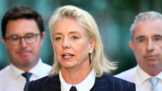 Coalition agreement not a ‘foregone conclusion’ amid climate rift