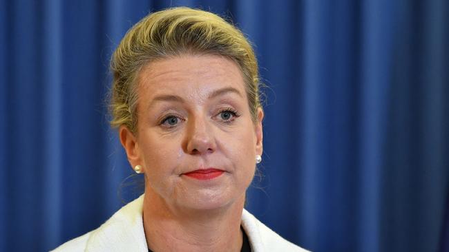 Acting Leader of the National Party Senator Bridget McKenzie at a press conference at the Commonwealth Offices in Brisbane. Picture: AAP/Darren England