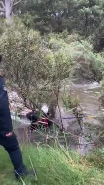 Woman and dog saved from Werribee River