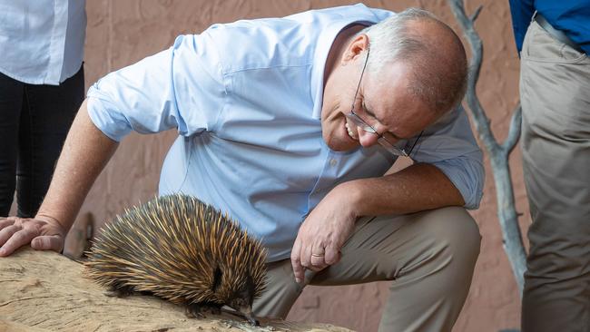 Prickly protesters – but now ScoMo’s focused on Diggers