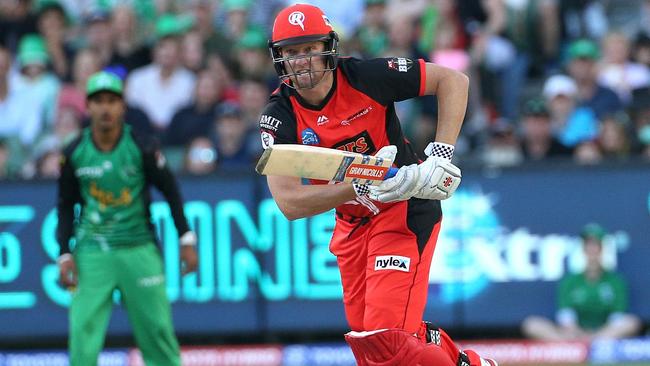 Cameron White could return for the Renegades and replace Nabi.