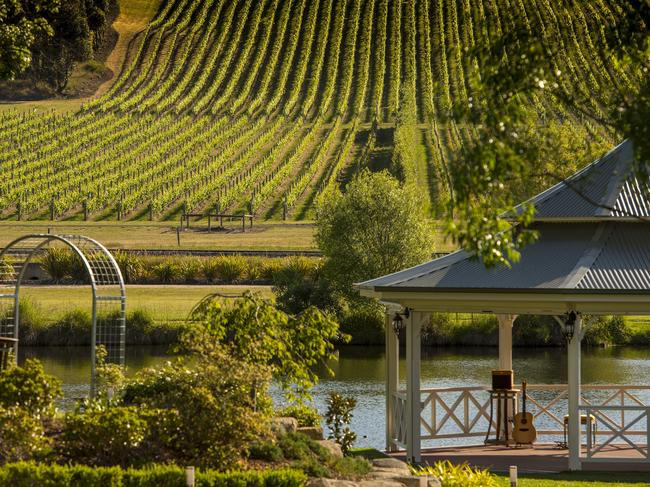 Vines cover the hills at Josef Chromy Vineyard.