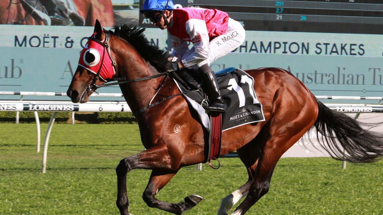 Socrates pre-race in the Spring Champion Stakes at Randwick. Photo: Grant Guy