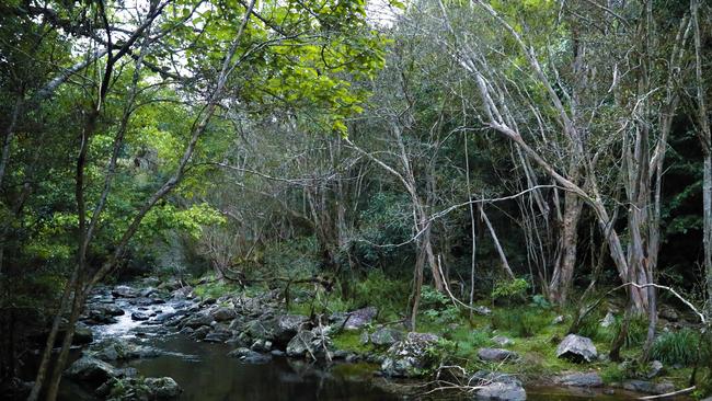 Freshwater creek in the Redlynch Valley. Picture: Brendan Radke