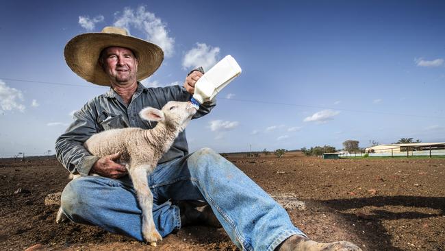 Western Queensland grazier Will Roberts bottle feeding one of his poddy lambs on his drought hit property north-east of Charleville. Picture: Lachie Millard
