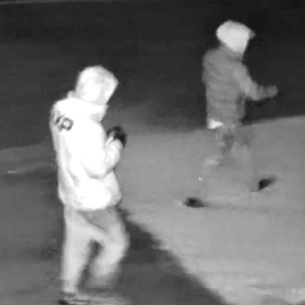 Police are seeking help over two deliberately-lit car fires. CCTV captured the two persons pictured in the area at the time.