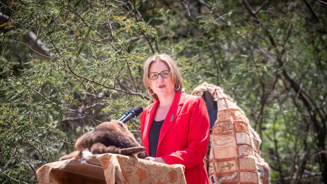 MELBOURNE, AUSTRALIA - NewsWire Photos - November 21, 2024: Ceremonial Opening of Treaty Negotiations on Wurundjeri  Woi-wurrung country in the Darebin Parklands.Chairs of the First Peoples Assembly of Victoria Ngarra Murray and Ruben Berg along with assembly members, tribes from throughout Victoria, Premier Jacinta Allan and Treaty Minister Natalie Hutchins and cabinet ministers gather for a day of ceremony and celebration of the start of Treaty negotiations.Premier Jacinta Allan speaking at the ceremony. Picture: NewsWire / POOL/ Justin McManus.