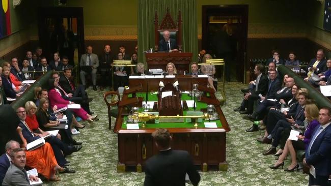 MPs look towards the public gallery as the protest unfolds. Picture: Supplied